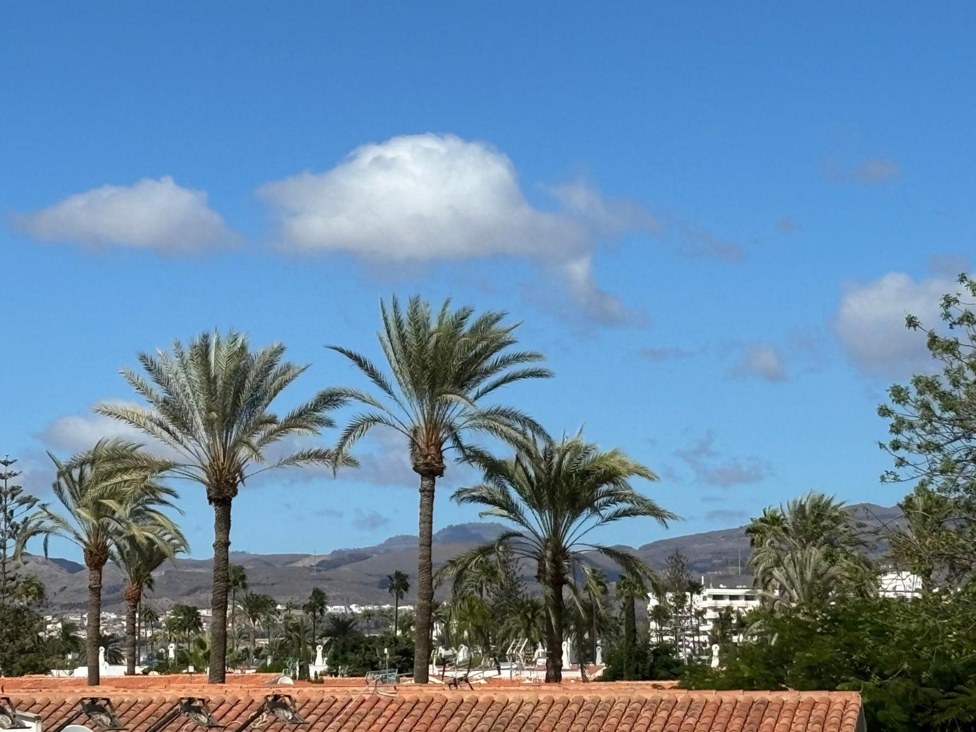 Loris Home Playa Ingles 50Mt From Yumbo By Luca Properties Gran Canaria San Bartolomé Extérieur photo